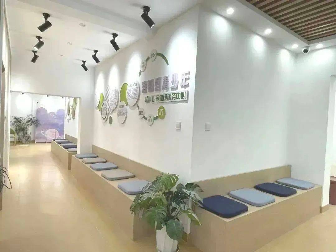 心理咨询室创建验收暨健康咨询服务活动圆满完成